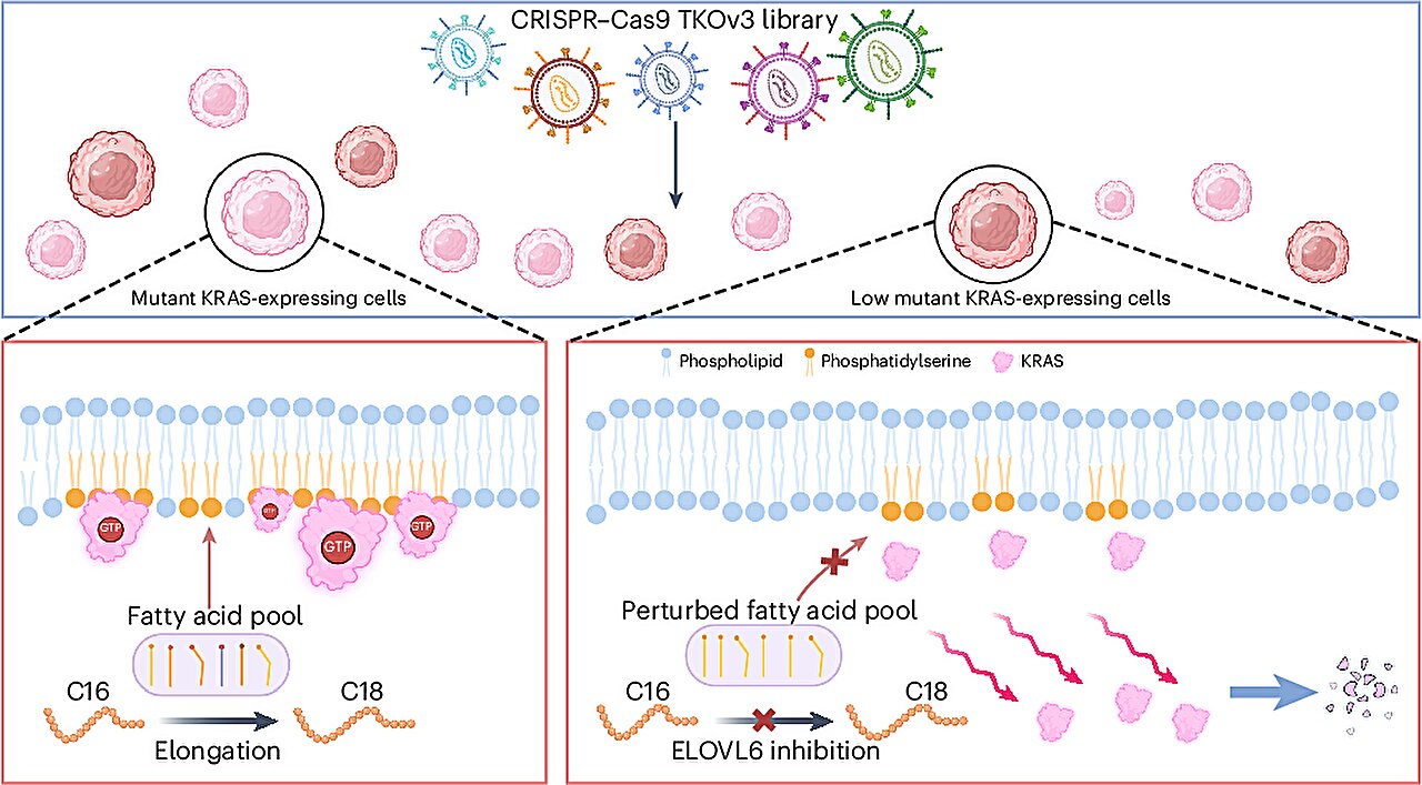 DNA mutation KRAS gene cancer treatment precision medicine concept